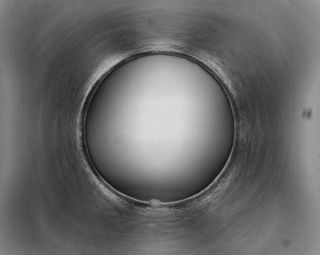 X0000098131285200805011313