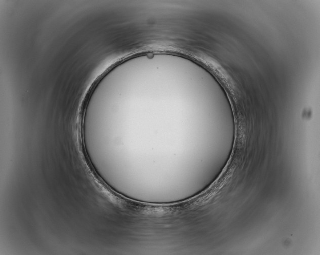 X0000098131286200805011313