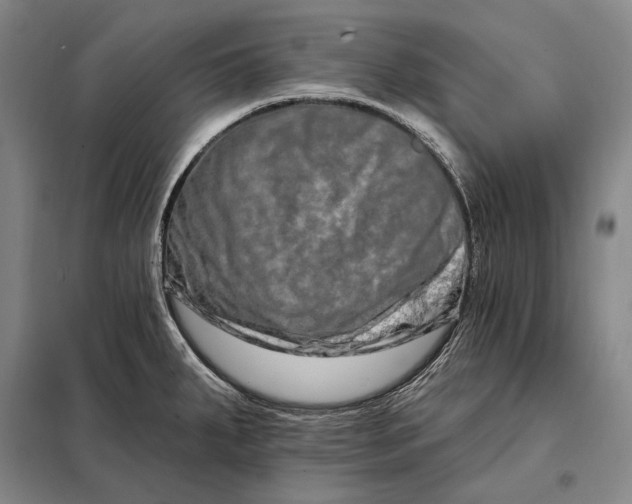 X0000098131287200805011313