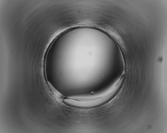 X0000098131288200805011313