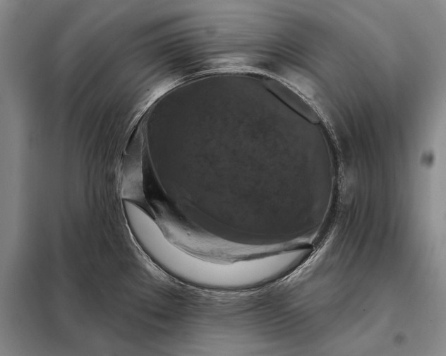 X0000098131289200805011313