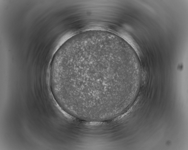 X0000098131290200805011313