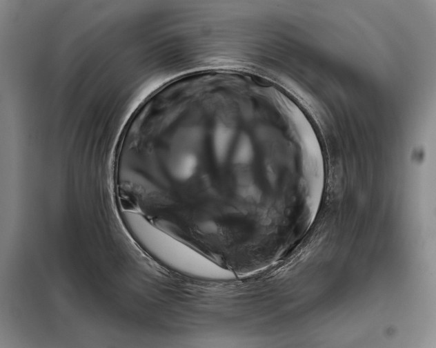 X0000098131291200805011313