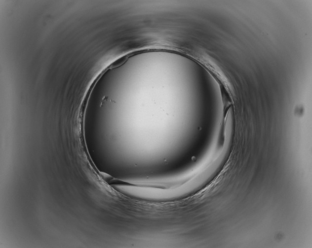 X0000098131292200805011313