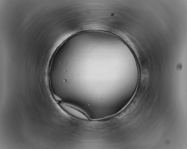 X0000098131293200805011313