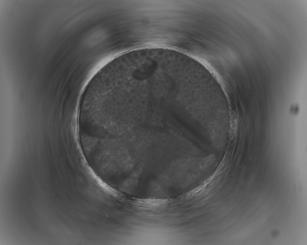 X0000098131294200805011313