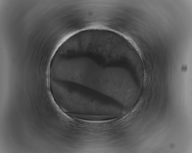 X0000098131295200805011313