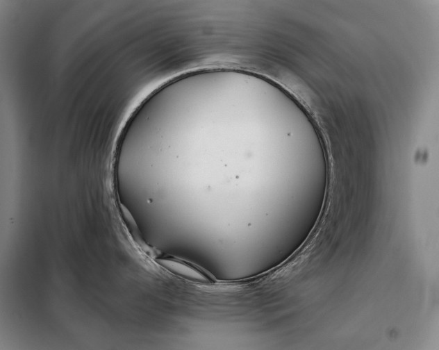 X0000098131296200805011313