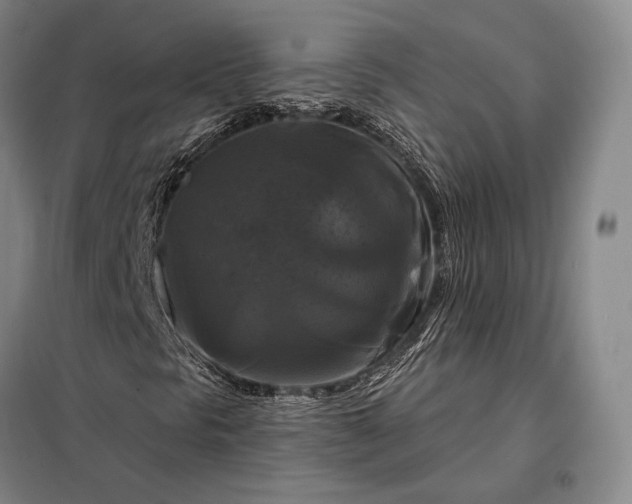 X0000098131297200805011312