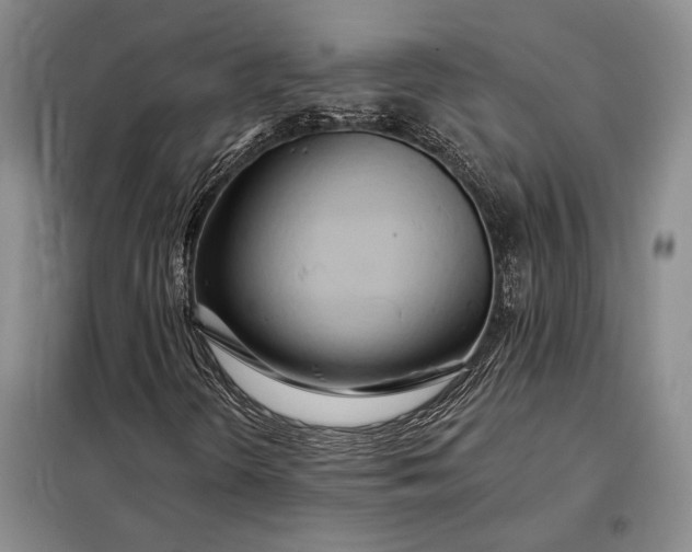 X0000098131298200805011312