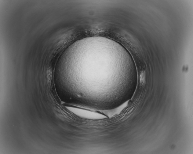 X0000098131299200805011312