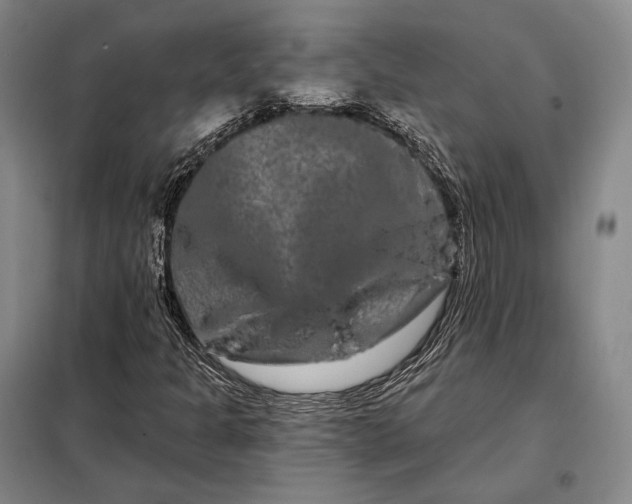 X0000098131301200805011312
