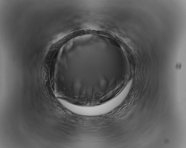 X0000098131303200805011312