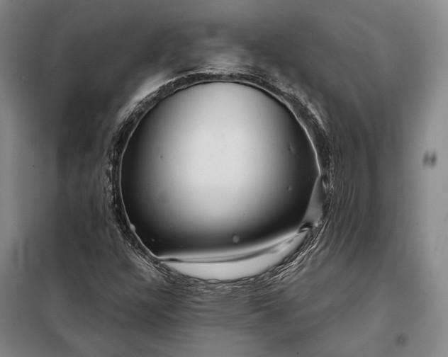 X0000098131304200805011312