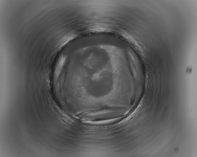 X0000098131305200805011312