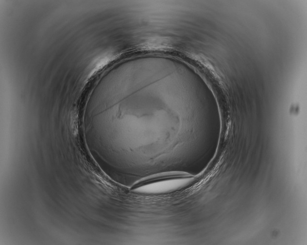 X0000098131306200805011312
