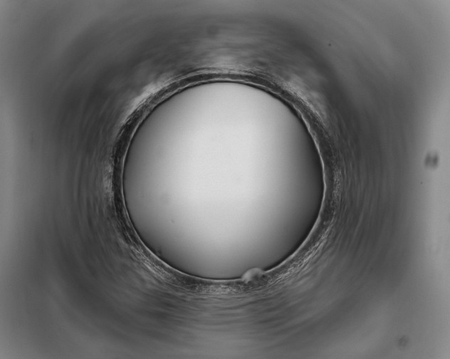 X0000098131307200805011312