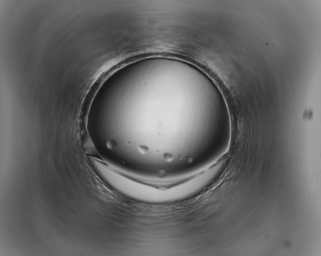 X0000098131308200805011312