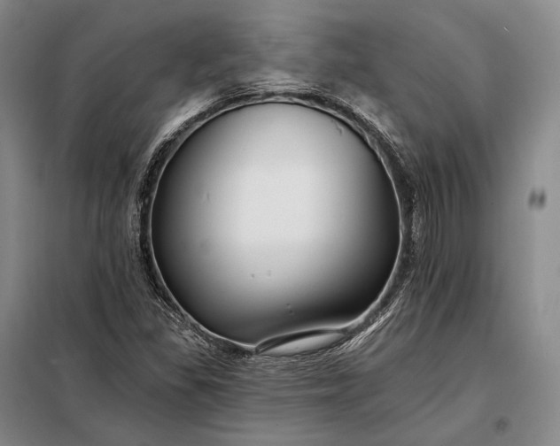 X0000098131309200805011312