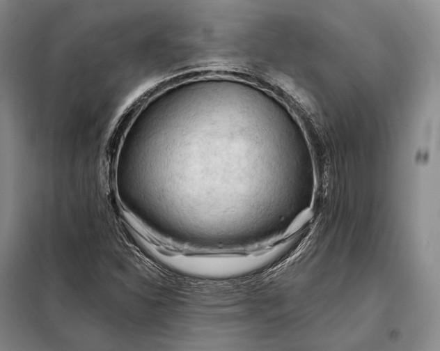 X0000098131310200805011312