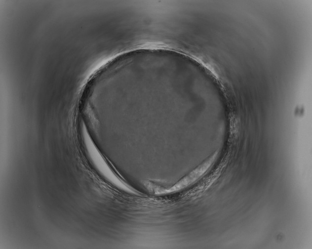 X0000098131311200805011312