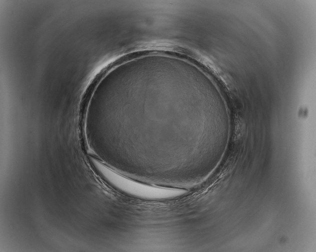 X0000098131312200805011312