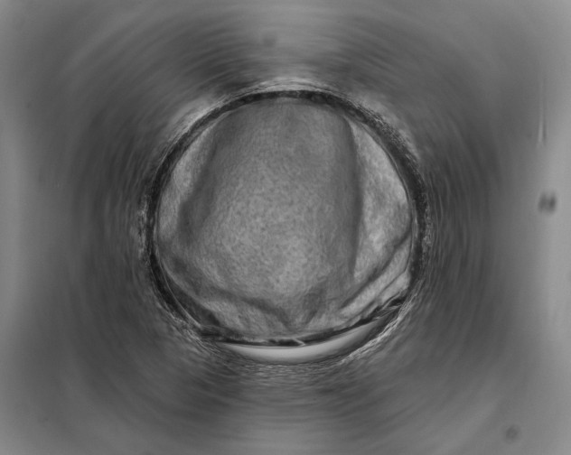 X0000098131313200805011312
