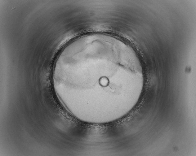 X0000098131314200805011312