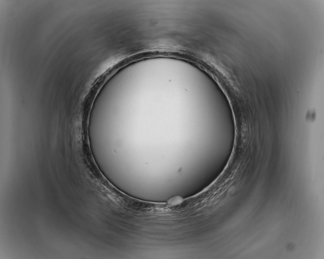 X0000098131315200805011312