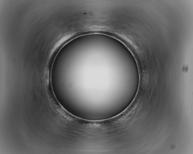 X0000098131317200805011312