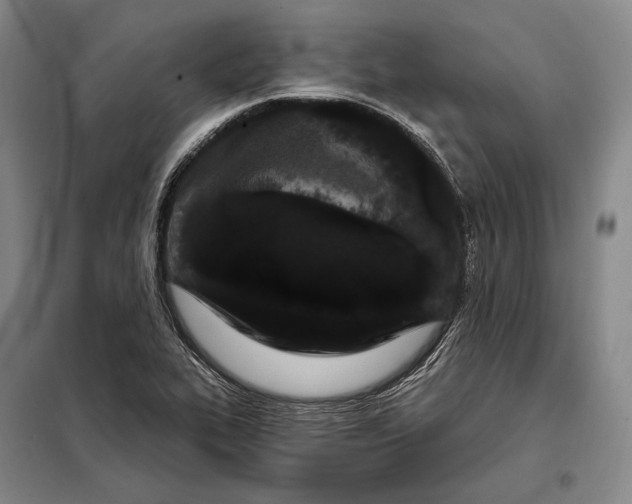 X0000098131319200805011312