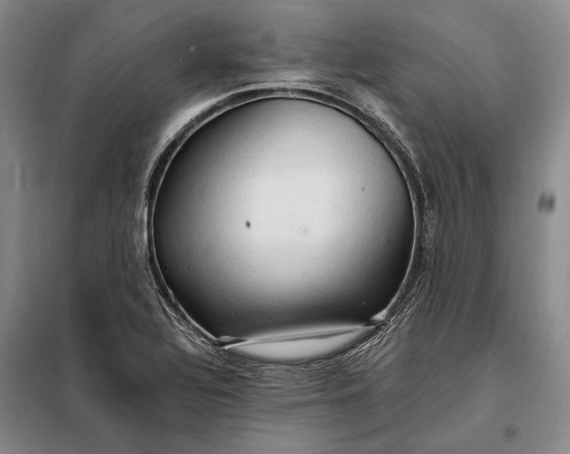 X0000098131320200805011312