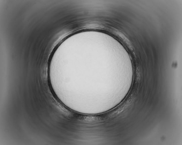 X0000098131322200805011312