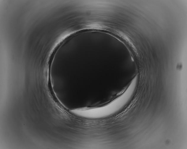 X0000098131323200805011312