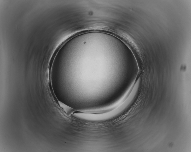 X0000098131324200805011313