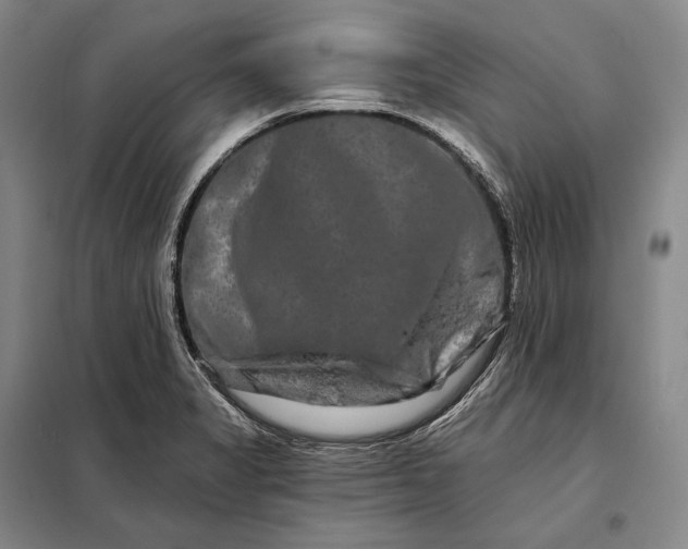 X0000098131325200805011313