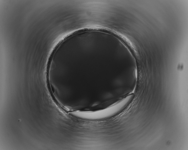 X0000098131327200805011313