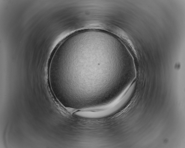 X0000098131328200805011313