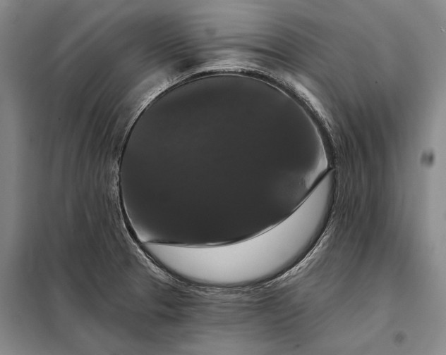 X0000098131329200805011313