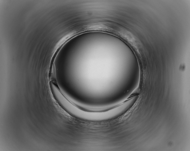 X0000098131330200805011313