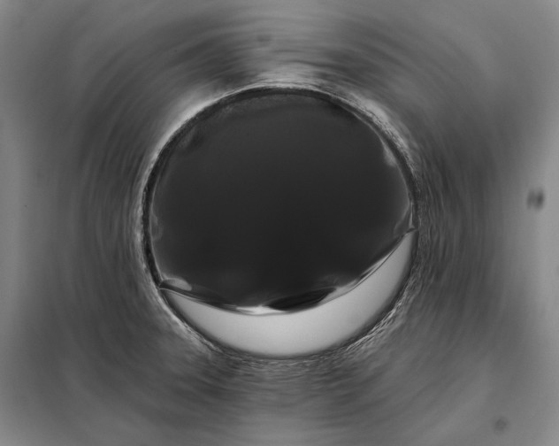 X0000098131331200805011313