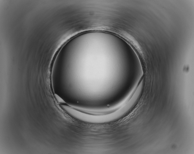 X0000098131332200805011313