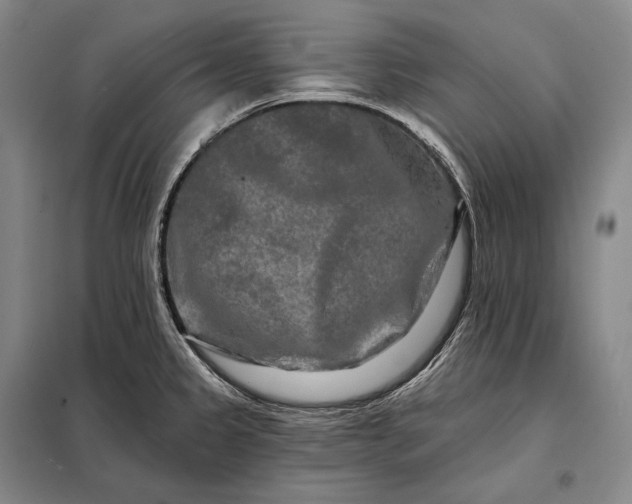 X0000098131333200805011313