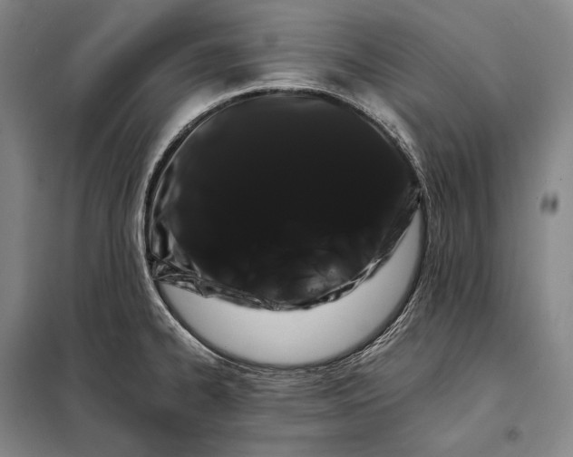X0000098131334200805011313