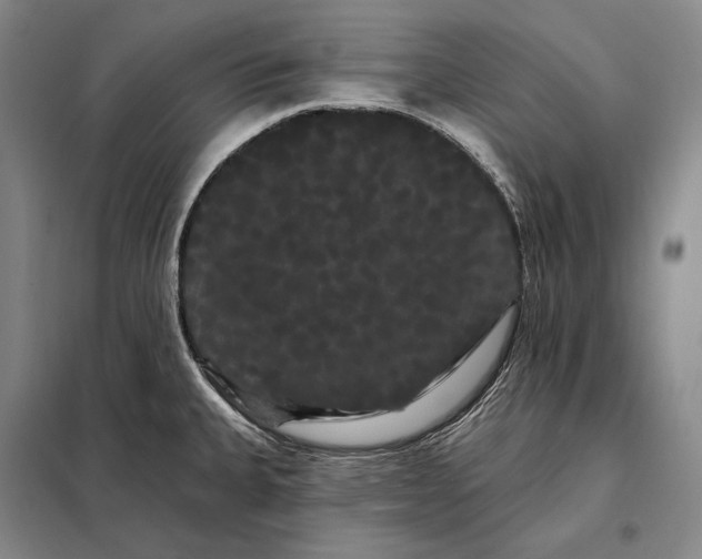 X0000098131335200805011313