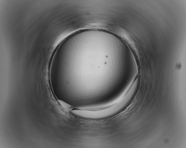 X0000098131336200805011313