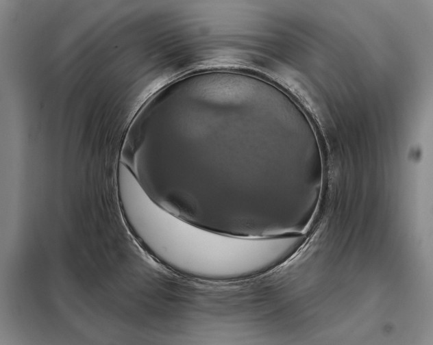 X0000098131337200805011313