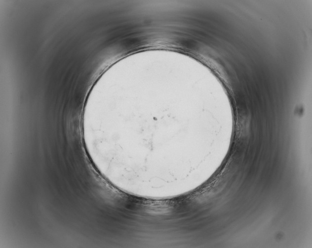 X0000098131338200805011313