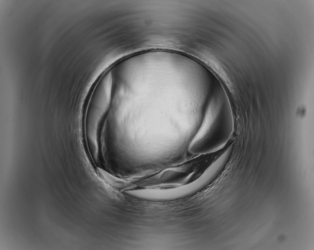 X0000098131339200805011313