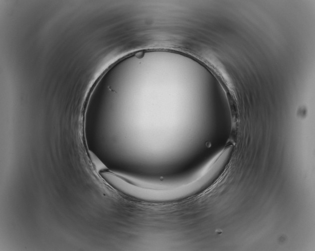 X0000098131340200805011313